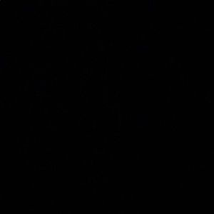 Meet your Posher, Jaylon